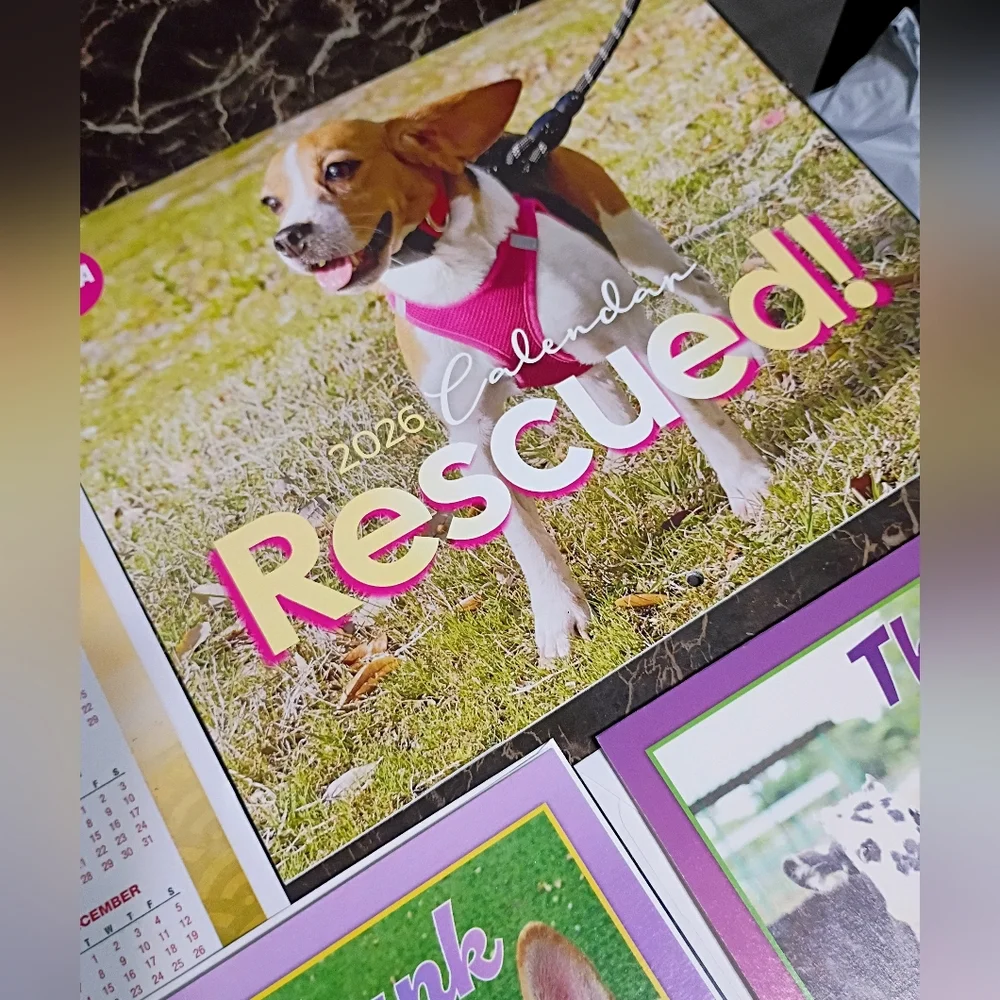 2026 Animal-Themed Calendar and Puzzle Set